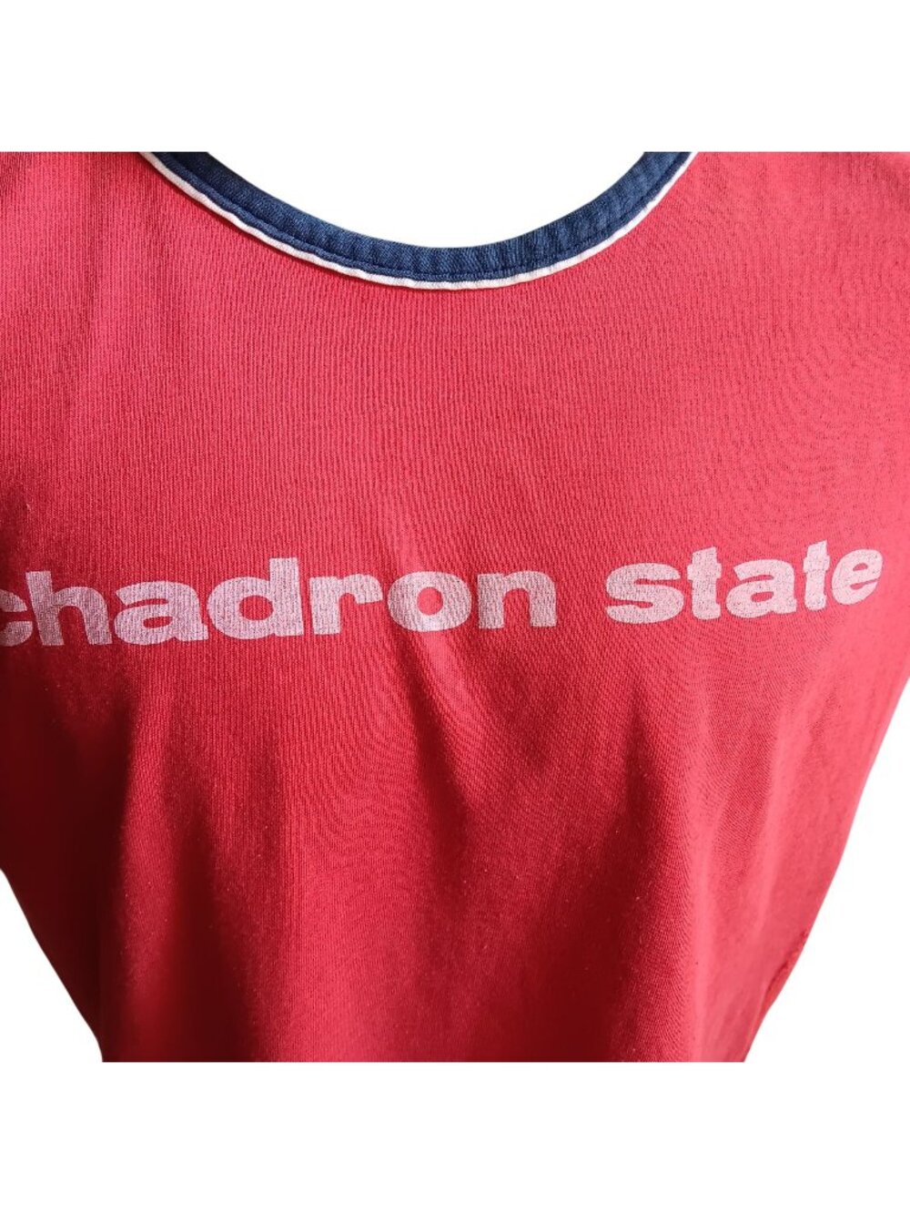Chadron State Single Stitch Vintage T-shirt Large 70s Sleeveless Tank Champion